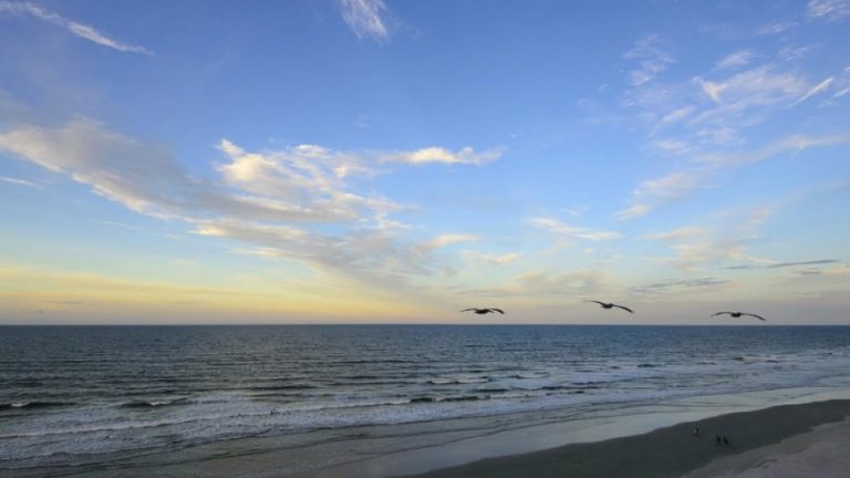 Make Daytona Beach Your Winter Escape Destination