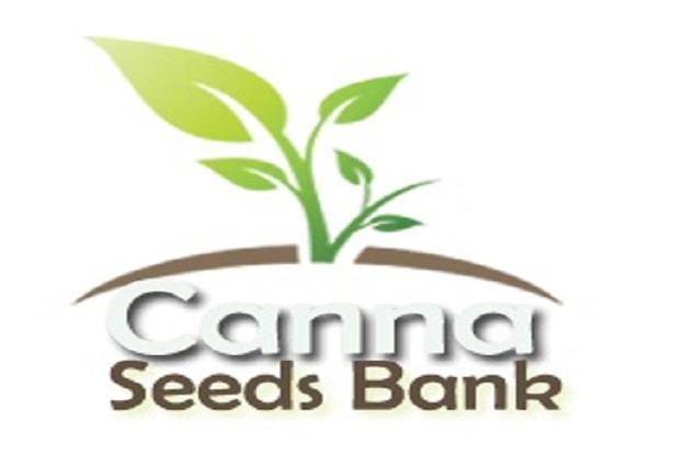 Canna Seeds Bank is the best store for growers to buy cannabis seeds online