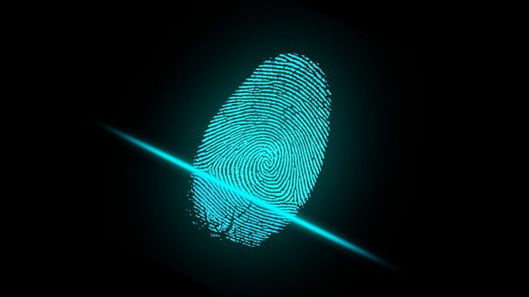 Vein Recognition Biometrics Market Investigation Reveals Enhanced Growth during 2019 to 2029