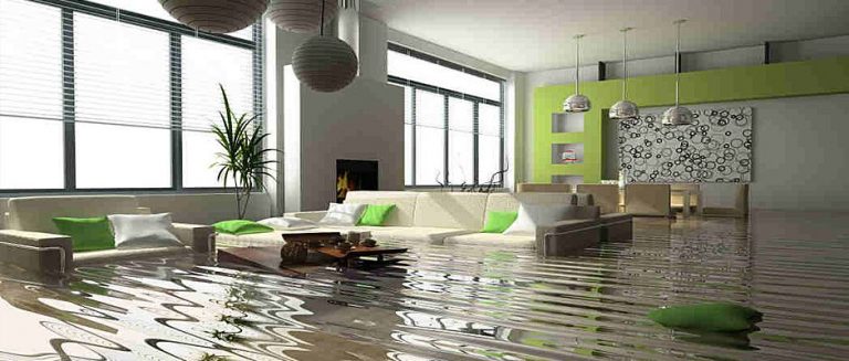 Metro Carpet Cleaning Introduced $100 OFF on Flood Emergency Service