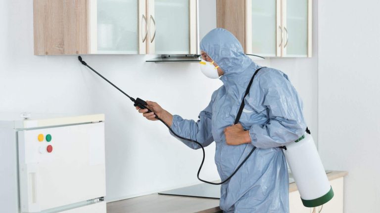 Regular cleaning Sydney to keep your home free from Coronavirus