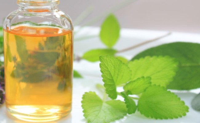 Why you should buy pure and natural essential oils from Janvi Herbs