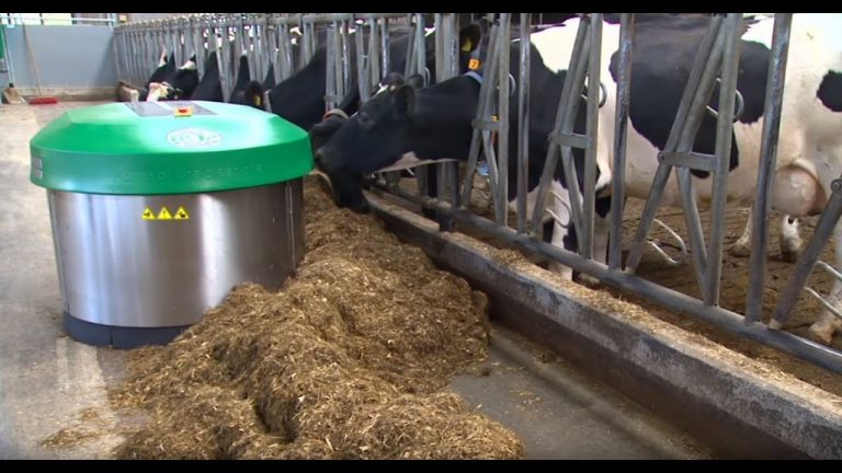 The Global Feed pusher market would influence by the advance technology and improving finance