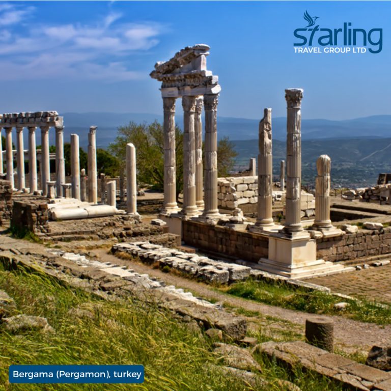 Plan a wonderful vacation with the best travel agency – STARLING.TRAVEL