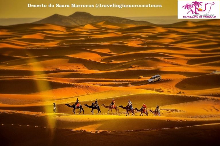 Traveling In Morocco Tours : Morocco Tours, Tours In Morocco from Casablanca