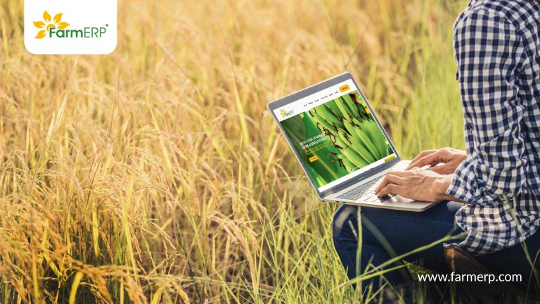 Food Safety and Traceability: AgTech India’s New Focus