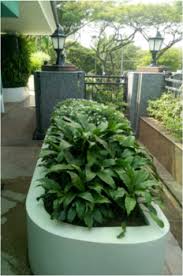 Designer water features