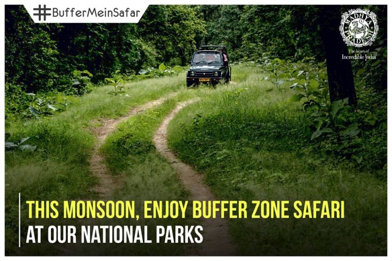 Madhya Pradesh flaunts its enthralling wildlife in this monsoon season #BufferMeinSafar