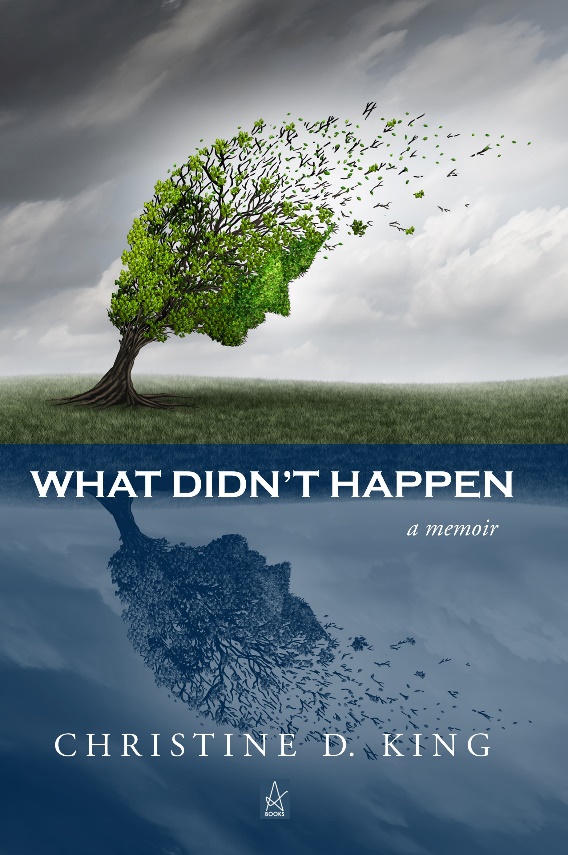 New Book by Christine D. King: What Didn’t Happen