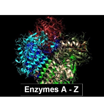 Your guide to Glucose Oxidase