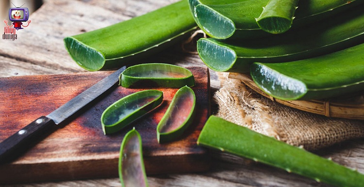 Aloe Vera Benefits for Skin and Hair