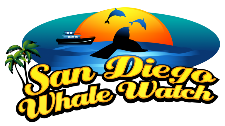 The best prefered option of seeing a whale watch near me